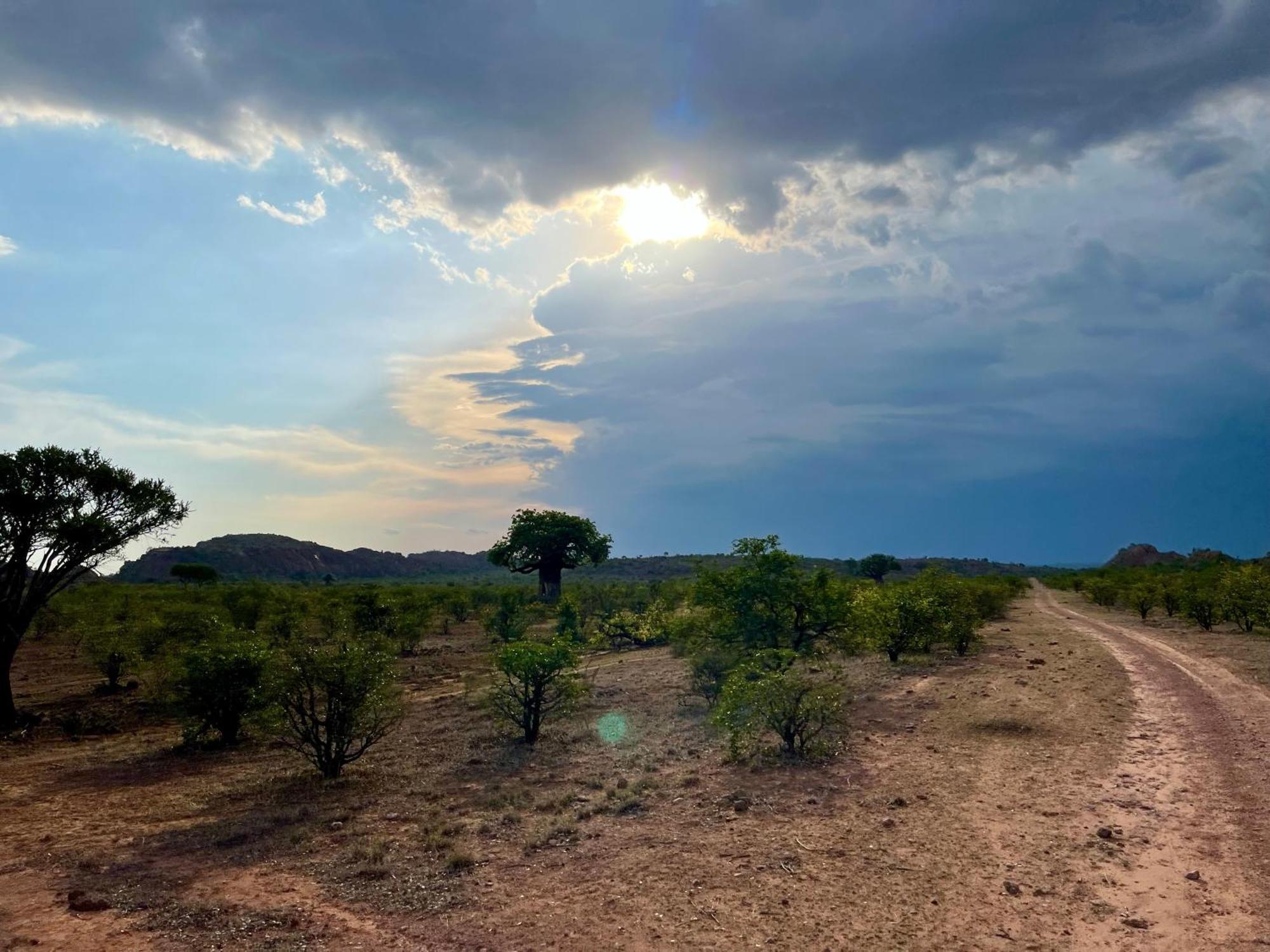 Kaoxa Bush Camp Alldays Exterior foto